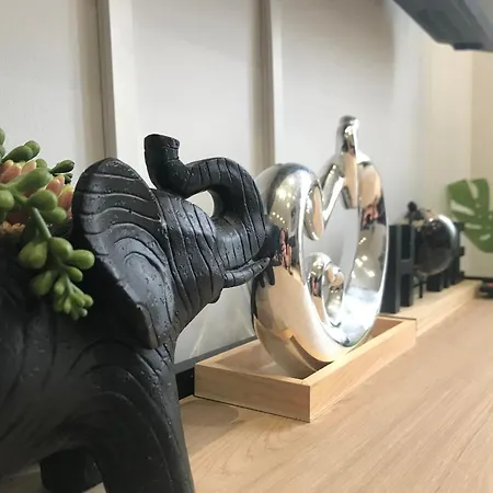 Le Dome 1 - Face Thermes - Cosy - Hypercentre * Виши